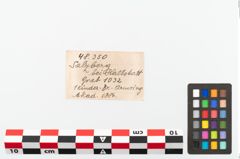 Foto von Bronzekopfschmuckring (NHMW-PRAE-048350)